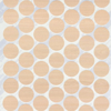 Picture of 18mm WE261 White Elm Pionite FastCap (720)